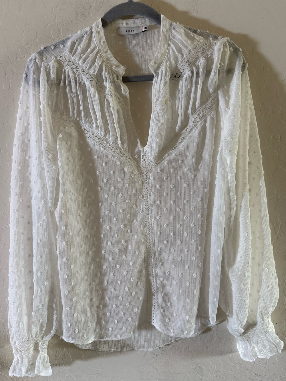 LUSH, small, long-sleeve Swiss dot blouse with a V-neckline & delicate lace trim